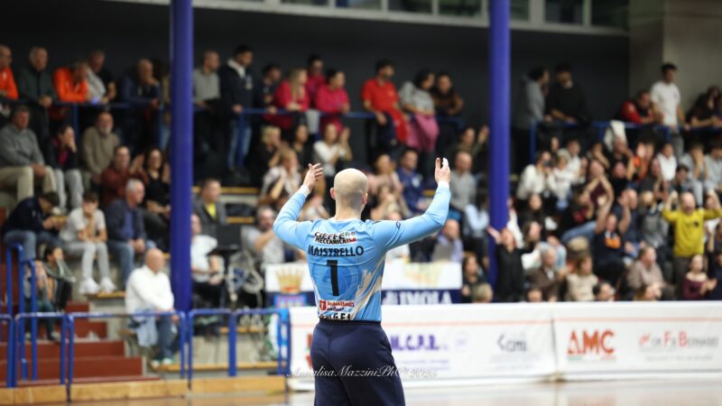 THE LIONS SLEEP TONIGHT