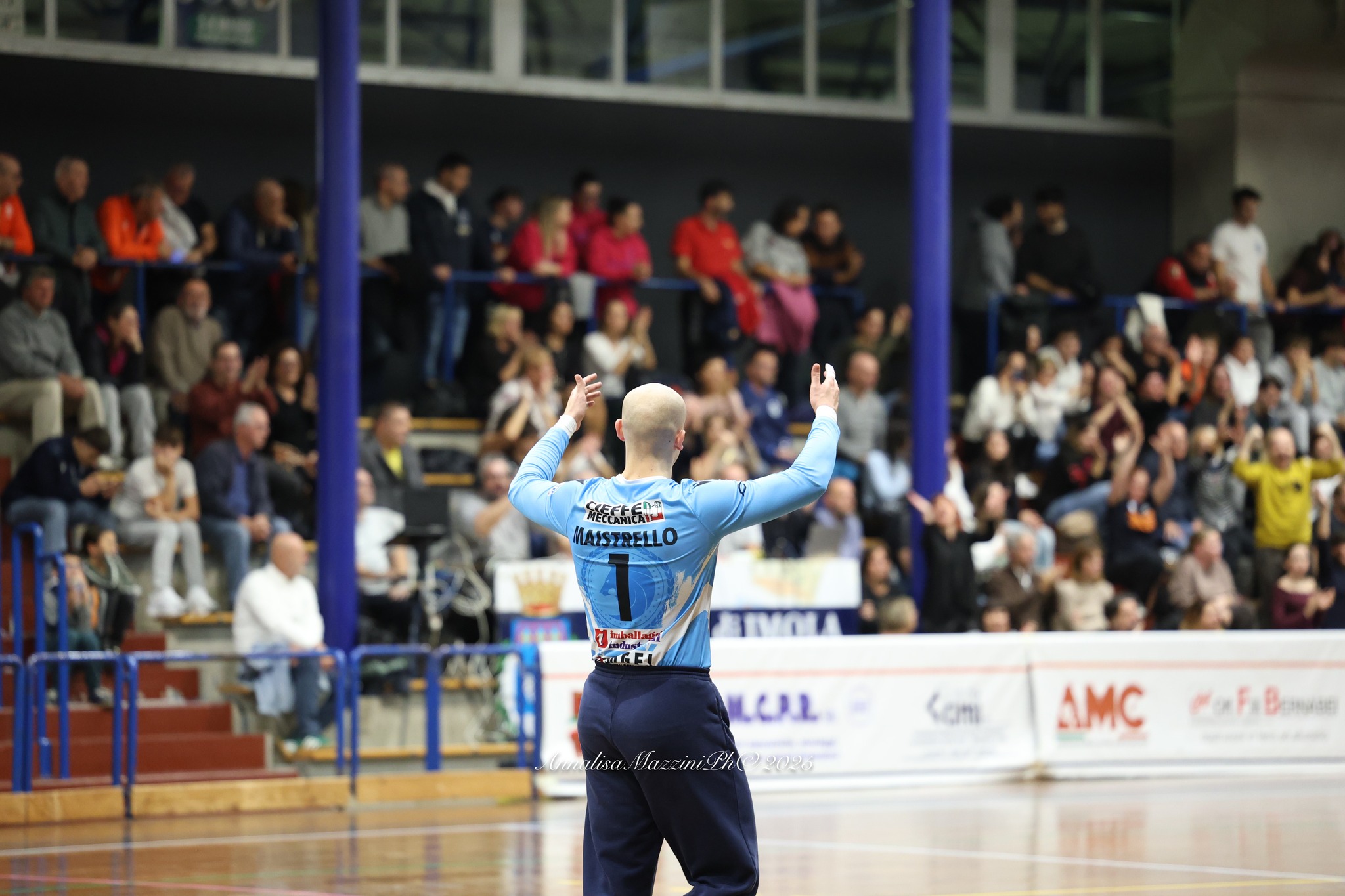 THE LIONS SLEEP TONIGHT