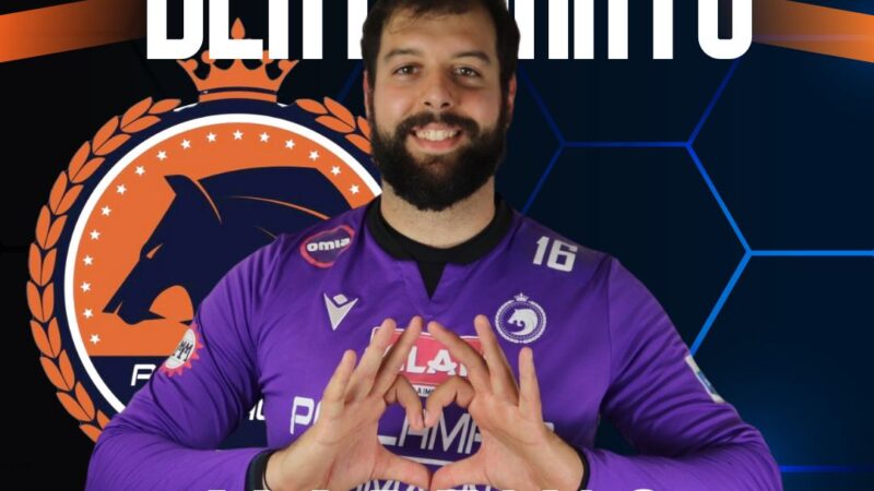 LE MANI DI MARTINO REDAELLI