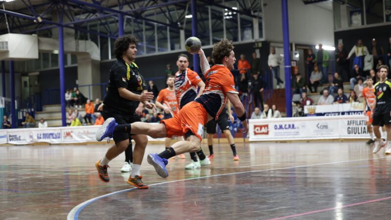 LA REGOLA DEL PALACAVINA